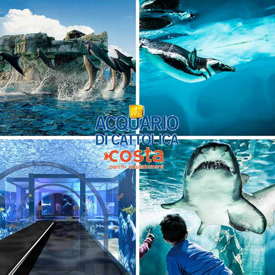 2 biglietti Interi saltafila alle casse validi per l'ingresso all'Acquario di Cattolica. Utilizza il tuo biglietto entro il 06/01/2025. I biglietti sono a data aperta e sono validi tutti i giorni di apertura. Il biglietto intero è valido per bambini da 140 cm di altezza e gli under 65.